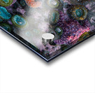 Magical Oregon Starfish Acrylic print