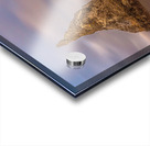 Bandon Beach Oregon Acrylic print