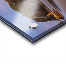 Breathtaking Oregon Coast Acrylic print