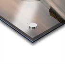 Face Rock Acrylic print