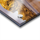 Oregon Coast Acrylic print