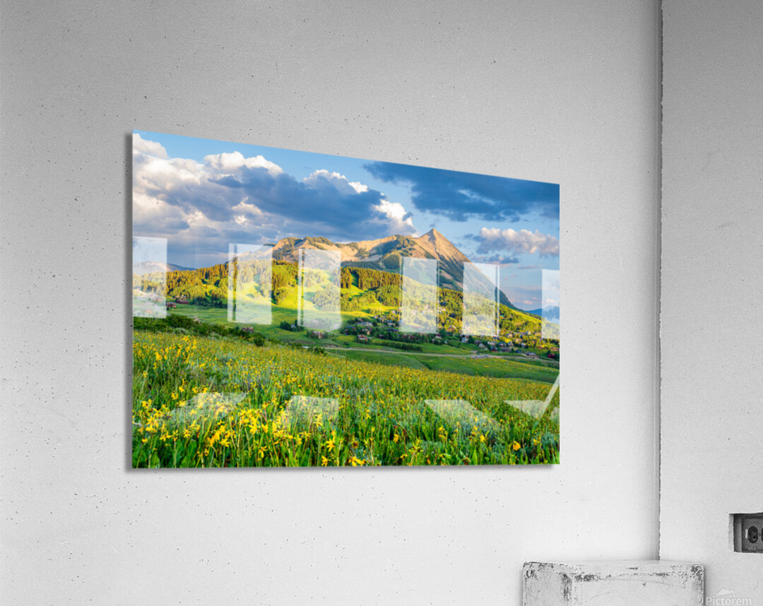 Crested Butte Wildflower Sunset  Acrylic Print