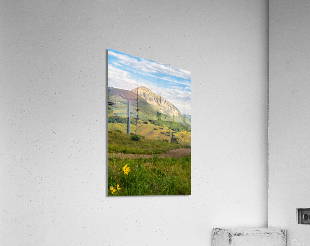 Colorado Ski Lift Sunshine and Sunflowers Acrylic Print