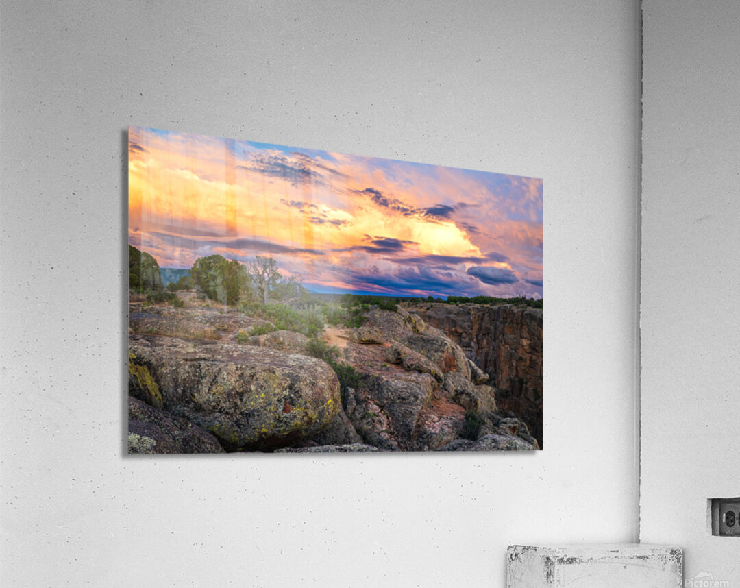 Black Canyon National Forest Acrylic Print