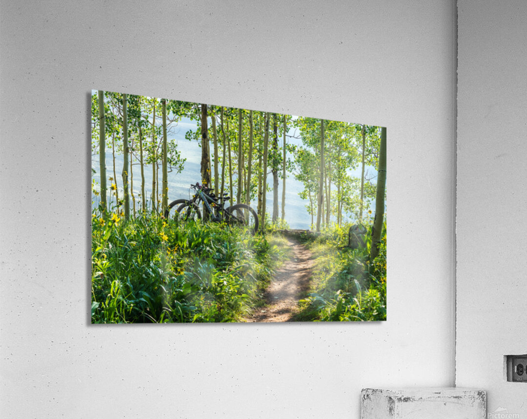 Biking in the Aspens Acrylic Print