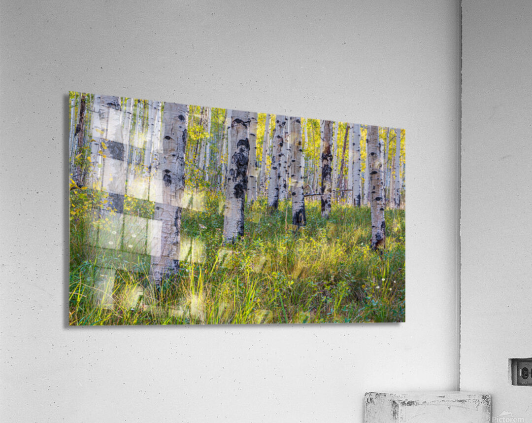 Kenosha Pass Fall is Here Acrylic Print