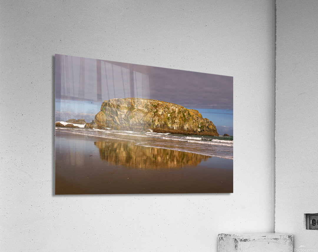 Puffins on the Rock Acrylic Print