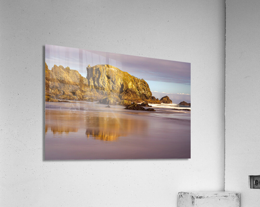 Oregon Coast Acrylic Print