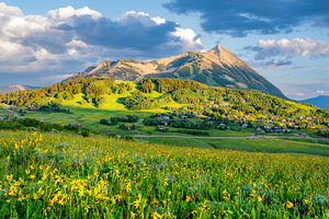 Crested Butte Wildflower Sunset 