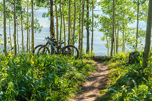 Biking in the Aspens