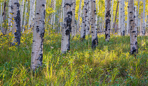 Kenosha Pass Fall is Here