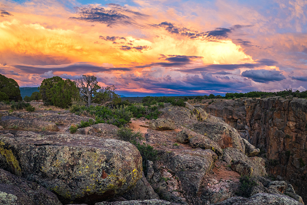 Black Canyon National Forest Print