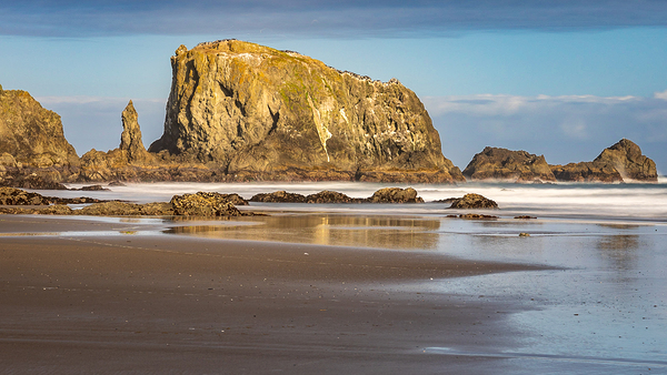 Oregon Puffins on the Rock during Sunrise Print