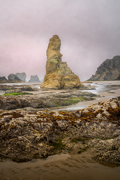 Oregon Beach Rocks Print