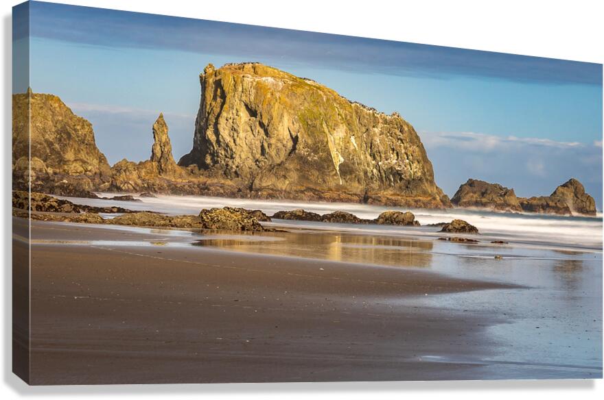 Oregon Puffins on the Rock during Sunrise Canvas Print