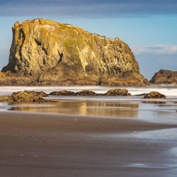 Oregon Puffins on the Rock during Sunrise