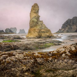 Oregon Beach Rocks