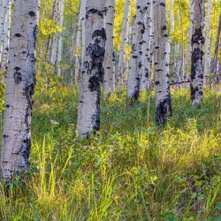 Kenosha Pass Fall is Here