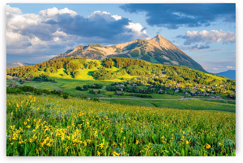 Crested Butte Wildflower Sunset  by Katie Kyle Photography