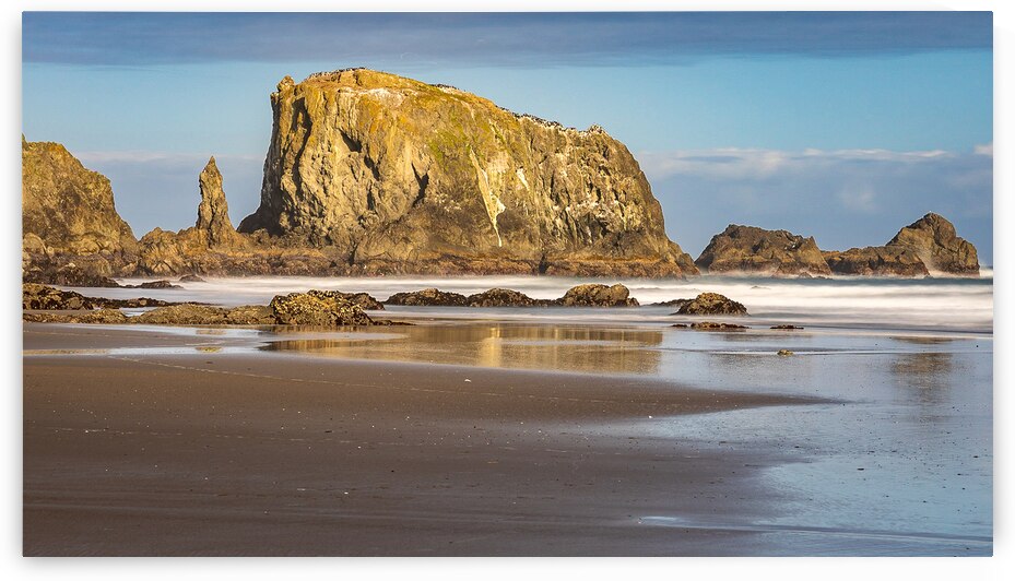 Oregon Puffins on the Rock during Sunrise by Katie Kyle Photography