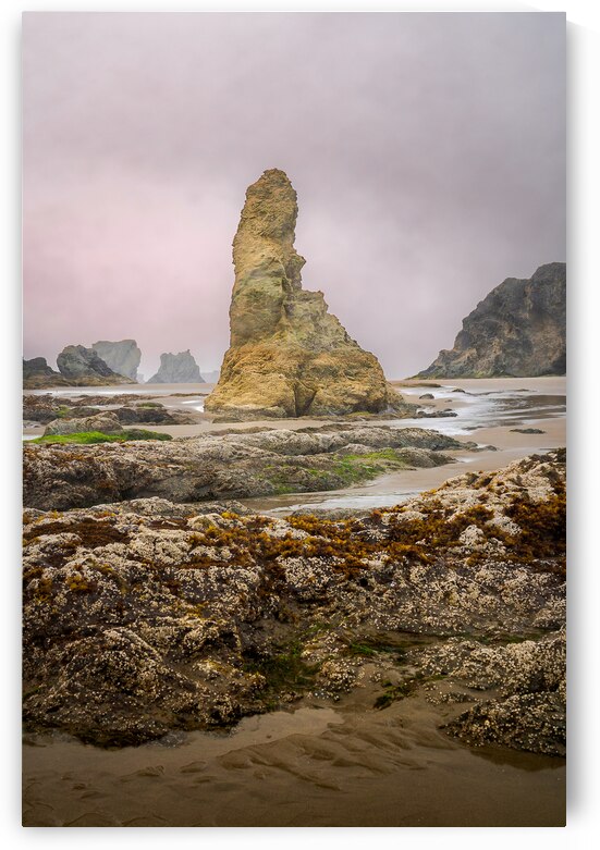 Oregon Beach Rocks by Katie Kyle Photography