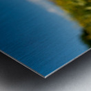 Sunflower overlooking Crested Butte Metal print