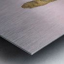 Oregon Beach Rocks Metal print