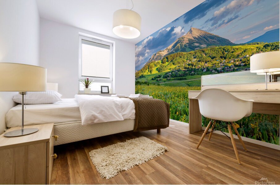 Crested Butte Wildflower Sunset  Mural print