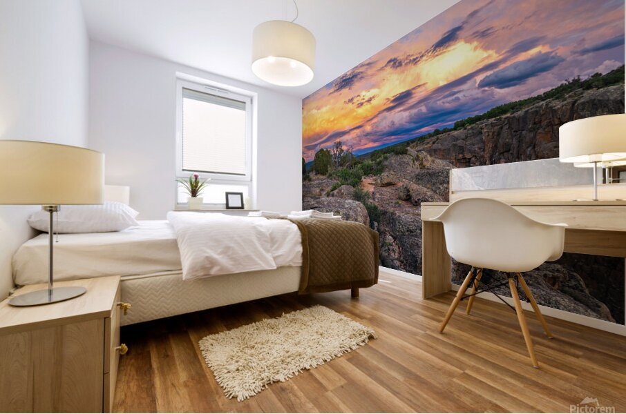 Black Canyon National Forest Mural print