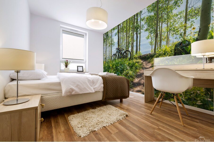 Biking in the Aspens Mural print