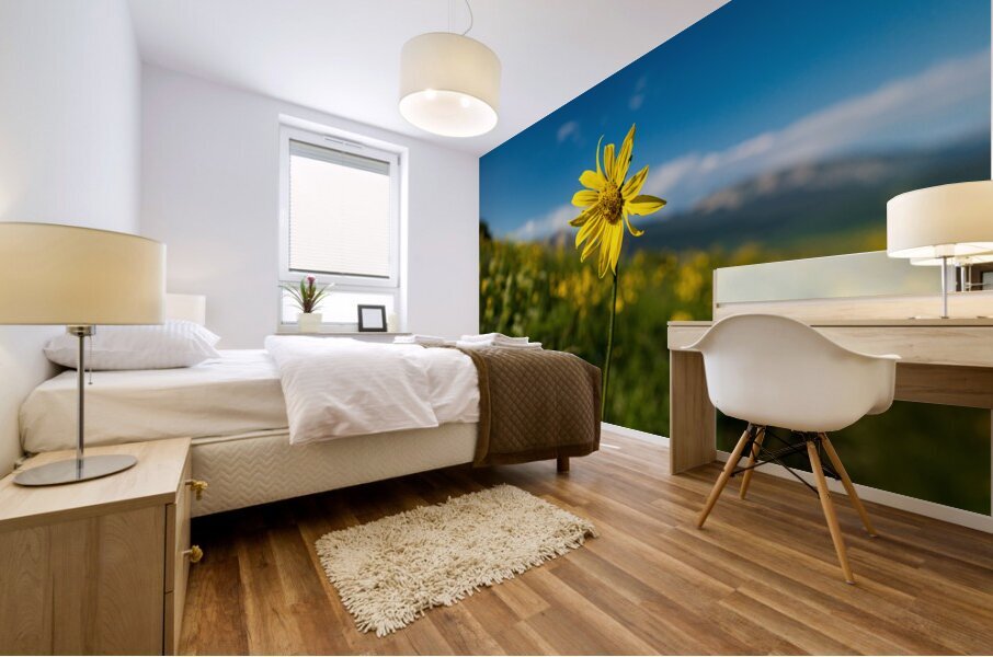 Sunflower overlooking Crested Butte Mural print