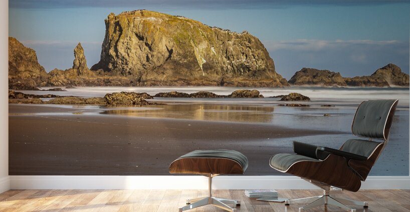 Oregon Puffins on the Rock during Sunrise Wall Murals