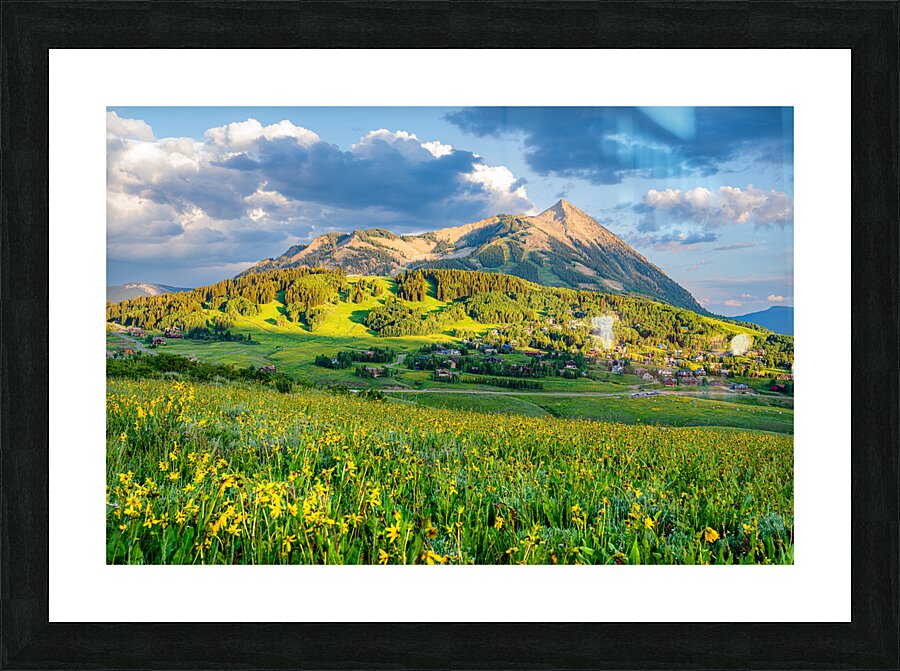 Crested Butte Wildflower Sunset  Picture Frame print