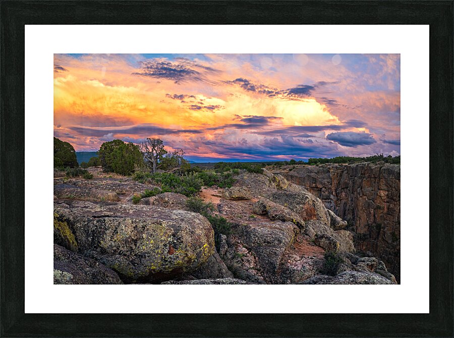 Black Canyon National Forest Picture Frame print