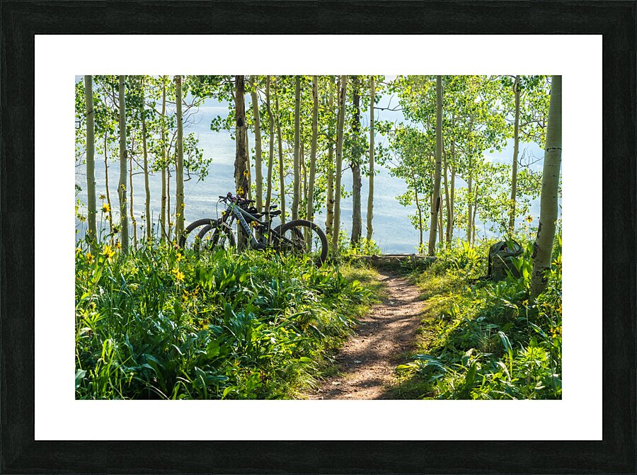 Biking in the Aspens Picture Frame print
