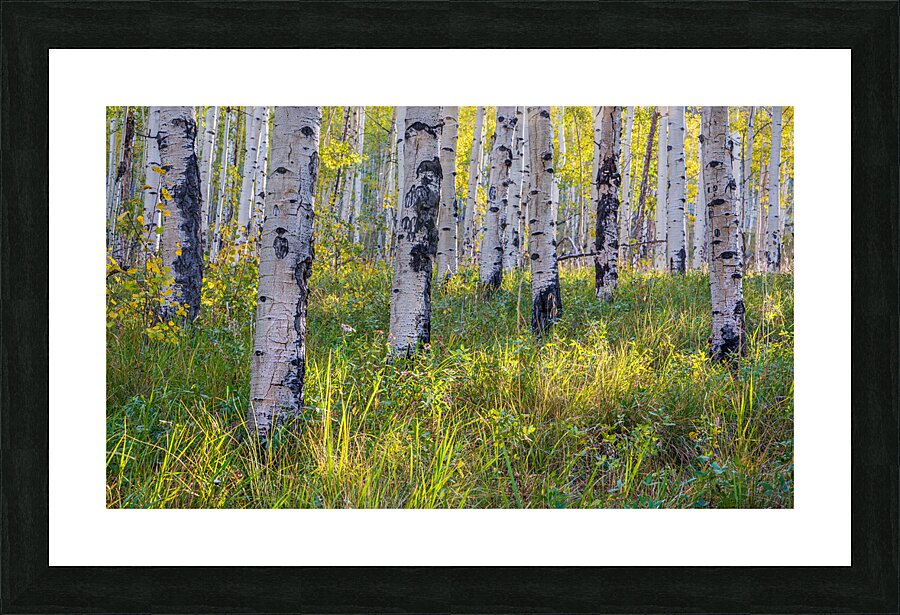 Kenosha Pass Fall is Here Picture Frame print