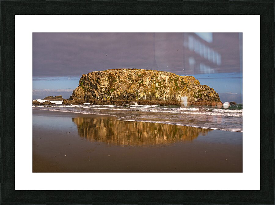 Puffins on the Rock Picture Frame print