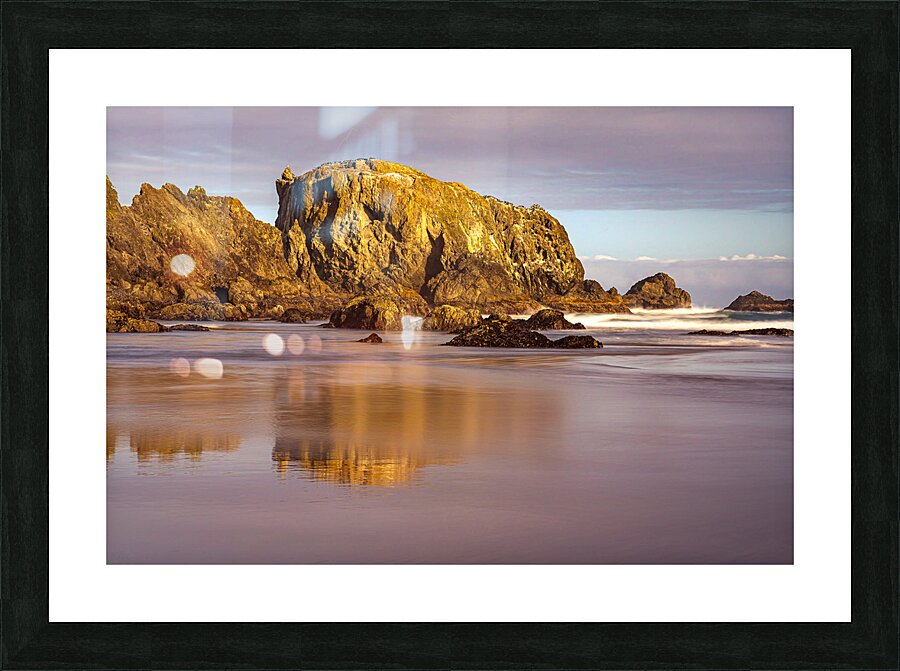 Oregon Coast Picture Frame print