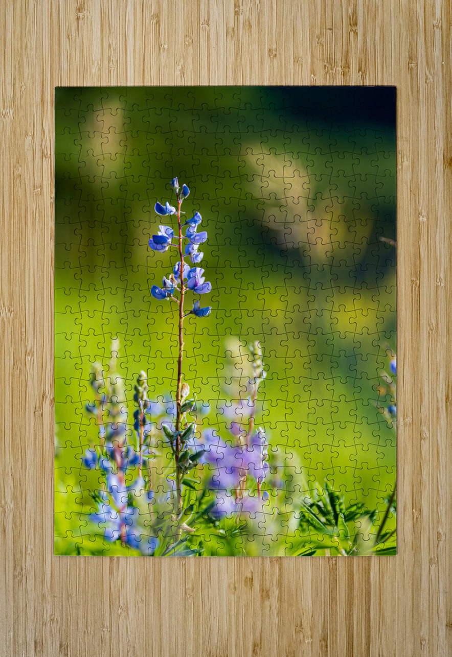 Colorado Wildflowers Katie Kyle Photography Puzzle printing