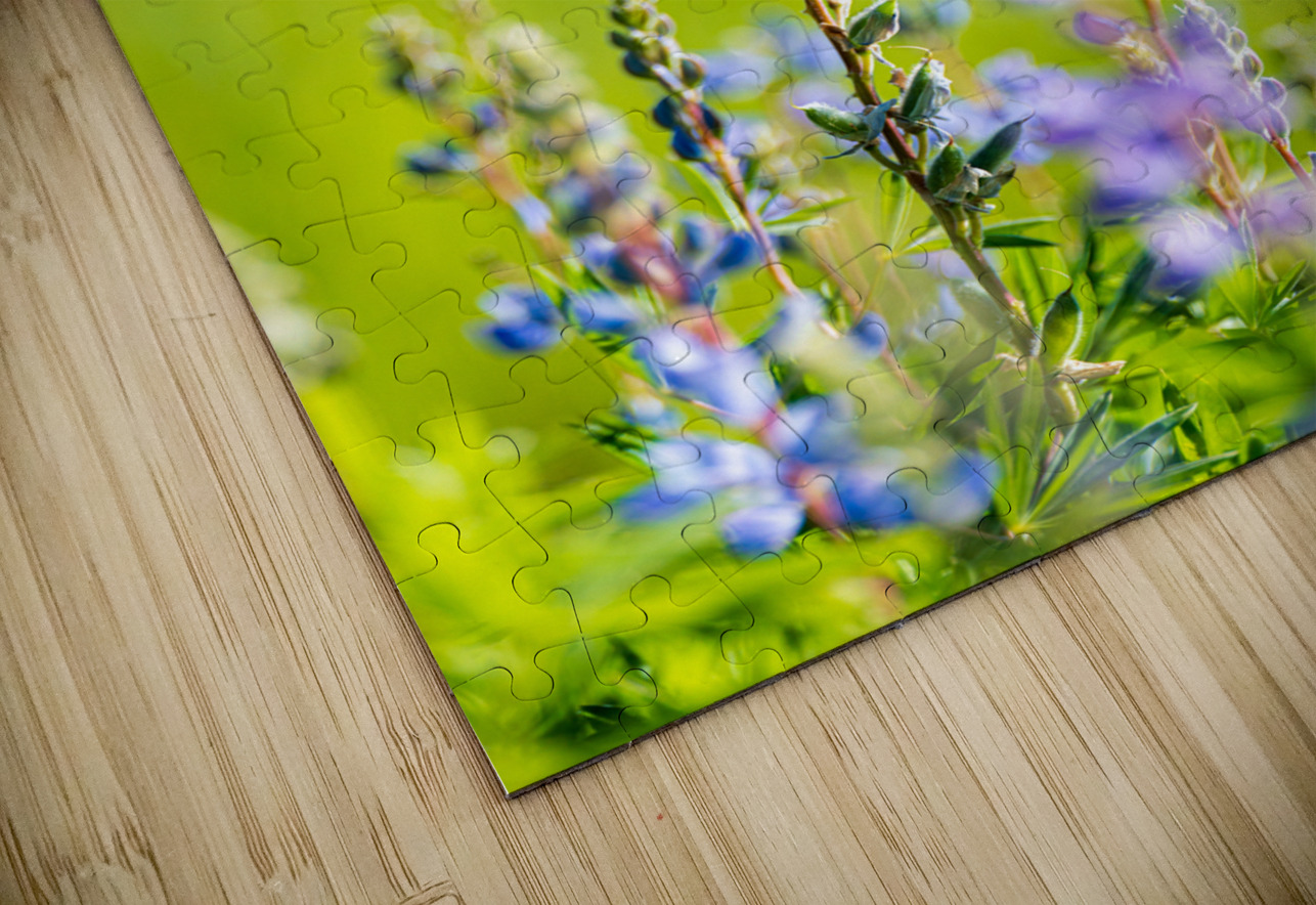 Colorado Wildflowers Katie Kyle Photography Puzzle