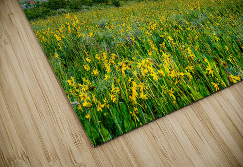 Crested Butte Wildflower Sunset  Katie Kyle Photography puzzle