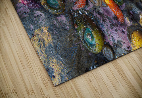 Magical Oregon Starfish Katie Kyle Photography puzzle