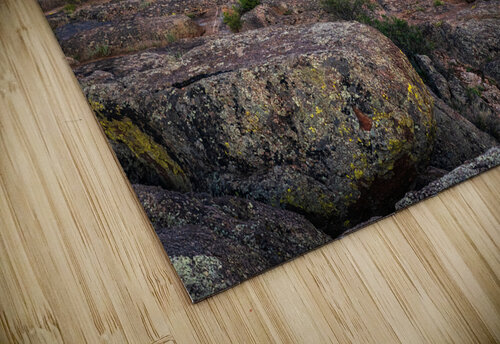 Black Canyon National Forest Katie Kyle Photography puzzle