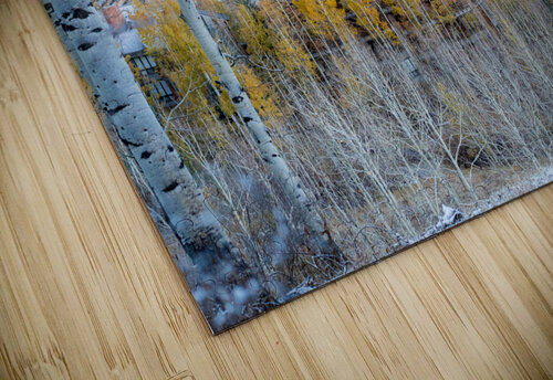 Fire and Ice in Snowmass Colorado  Katie Kyle Photography puzzle