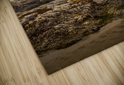 Oregon Beach Rocks Katie Kyle Photography puzzle