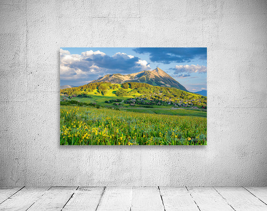 Crested Butte Wildflower Sunset  Wall Preview