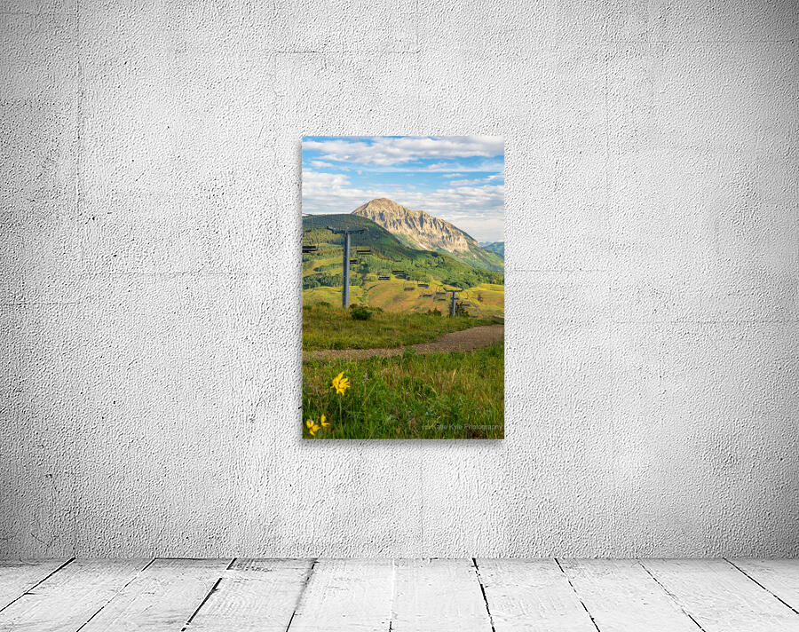 Colorado Ski Lift Sunshine and Sunflowers Wall Preview