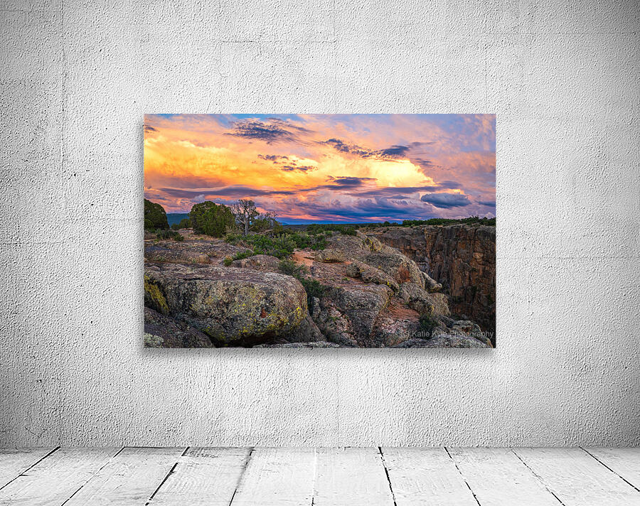 Black Canyon National Forest Wall Preview