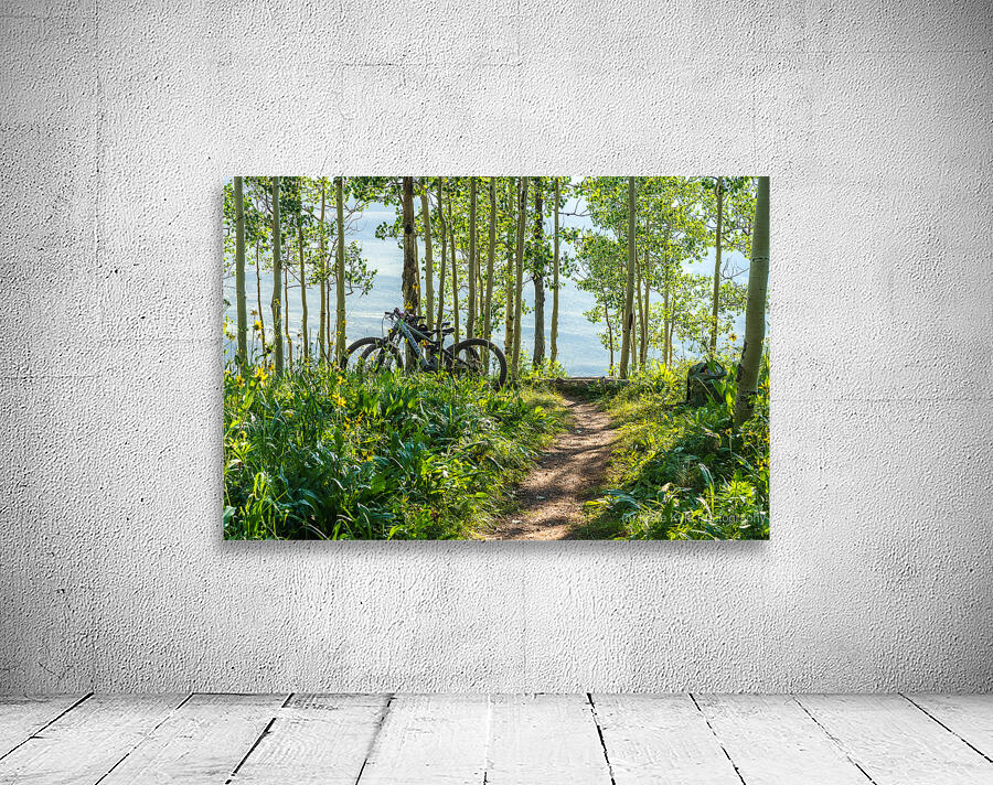 Biking in the Aspens Wall Preview