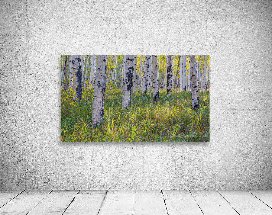 Kenosha Pass Fall is Here Wall Preview